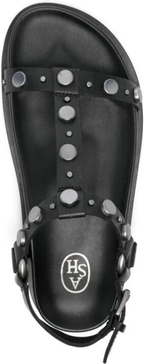 ASH Studded Zwarte Gesp Schoenen
