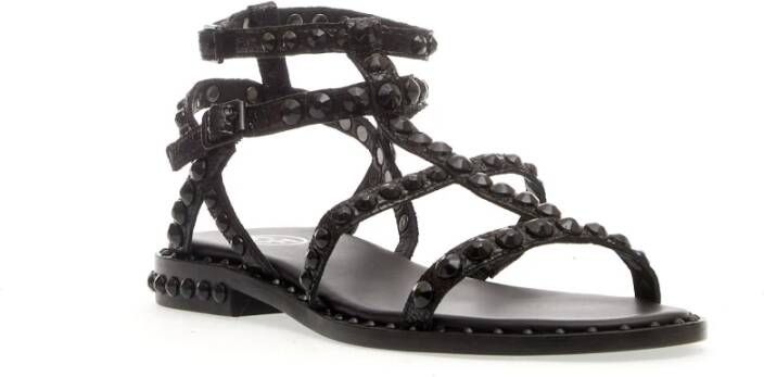 Ash Zwarte studs sandalen Black Dames