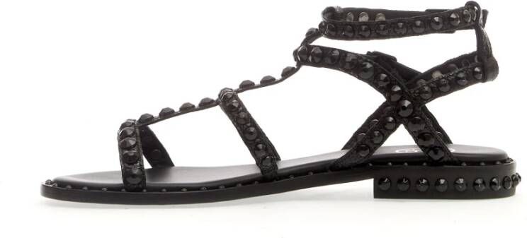 Ash Zwarte studs sandalen Black Dames