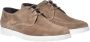 Baldinini Lace-up in taupe suede Brown Heren - Thumbnail 3