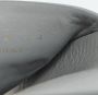 Balenciaga Vintage Pre-owned Leather flats Gray Dames - Thumbnail 8