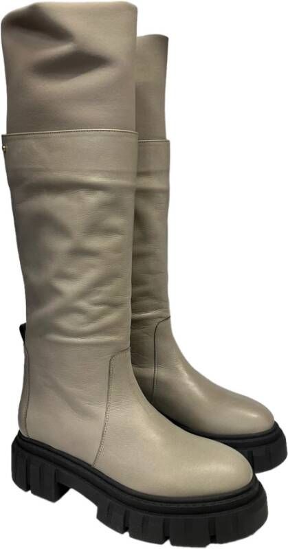 Bervicato Leren laarzen en enkellaarsjes Polyester Gray Dames