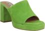 Bibi Lou Leren Hakken Muiltjes voor Vrouwen Green Dames - Thumbnail 3