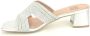 Bibi Lou Zilver Raffia Muil Sandaal Gray Dames - Thumbnail 3