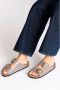 Birkenstock Arizona Big Buckle Slippers High-Shine Faded Purple Narrow Fit Dames - Thumbnail 4