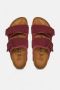 Birkenstock Zweedse Anatomic Sandalen met Verstelbare Riemen Purple Heren - Thumbnail 3