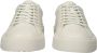 Blackstone CRAG FINN LOW DL260 Delicate Stone Sneaker (low) Dames Light grey - Thumbnail 4