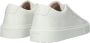 Blackstone CRAG FINN LOW DL260 White Sneaker (low) Dames White - Thumbnail 6