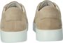 Blackstone MAYNARD Mouton Sneaker (low) Man Beige - Thumbnail 5