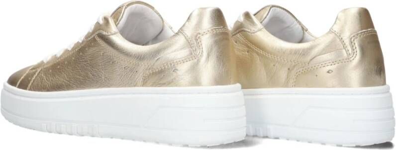 Blasz Gouden Low-Top Sneakers Anemone-02
