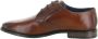 Bugatti Veterschoenen blokhak business schoen avondschoen feestelijke schoen met print - Thumbnail 7