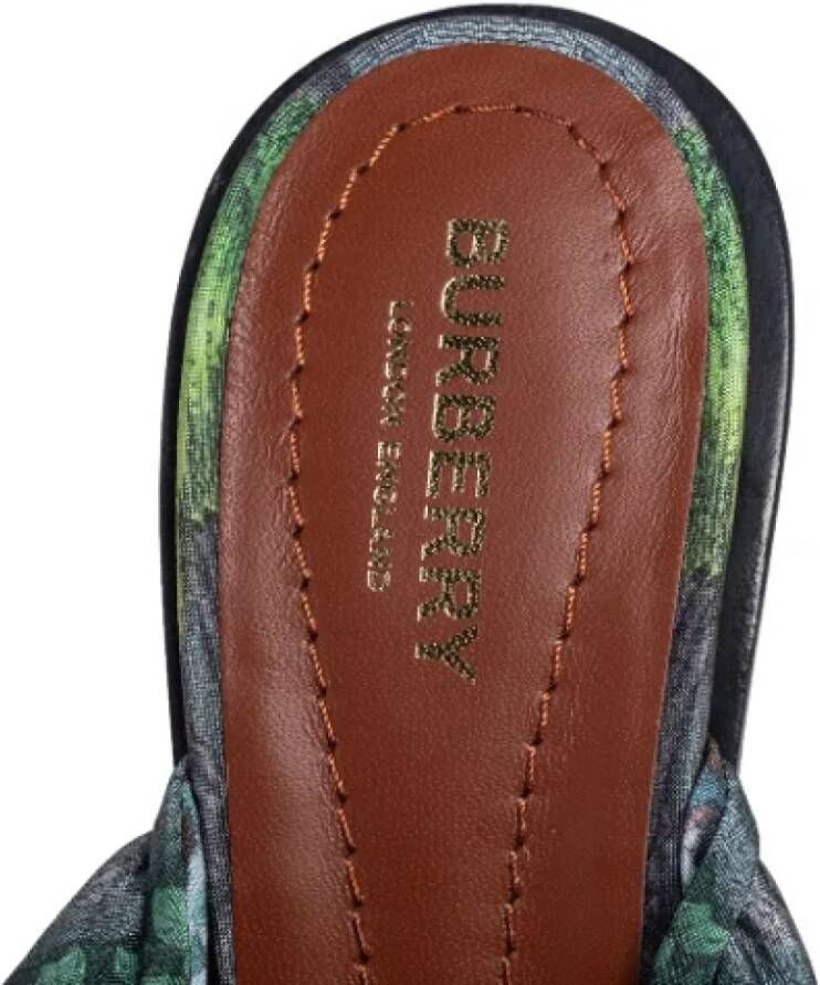 Burberry Vintage Pre-owned Satin sandals Green Dames