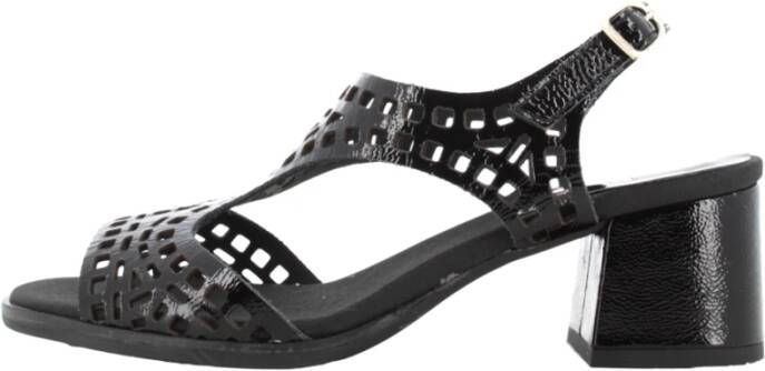 Callaghan Shoes Black Dames