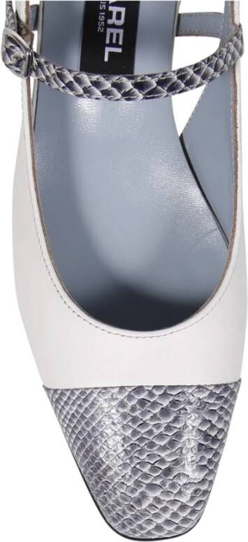 Carel Ocean Pump