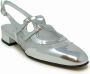 Carel Zilveren Leren Ballet Pumps Ss24 Gray Dames - Thumbnail 2