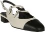 Carel Zwarte Dubbele Band Slingback Puntige Neus Beige Dames - Thumbnail 12