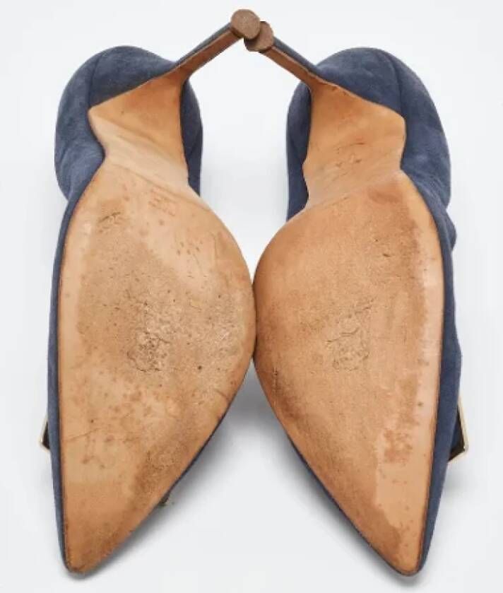 Carolina Herrera Pre-owned Suede heels Blue Dames