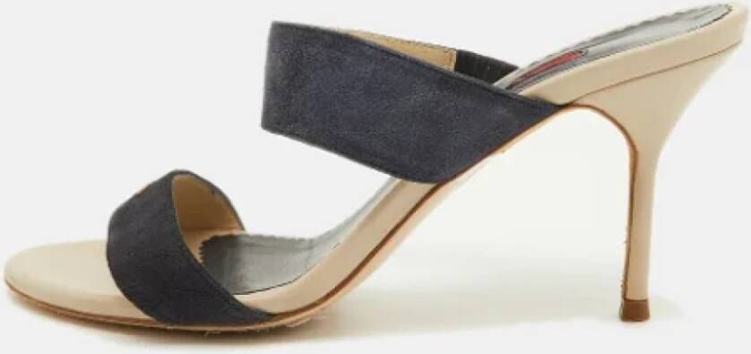 Carolina Herrera Pre-owned Suede sandals Blue Dames