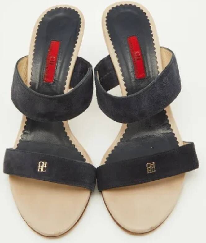 Carolina Herrera Pre-owned Suede sandals Blue Dames