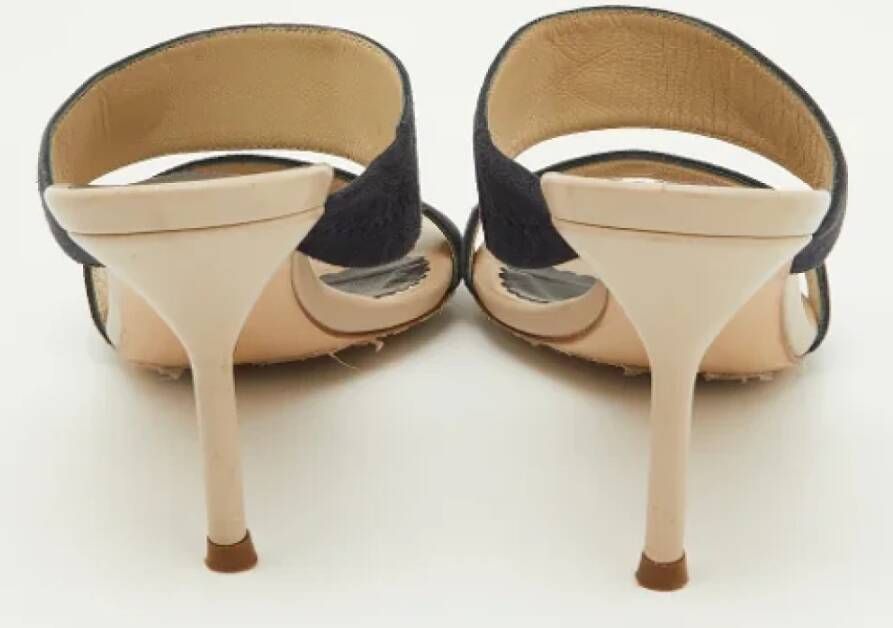 Carolina Herrera Pre-owned Suede sandals Blue Dames