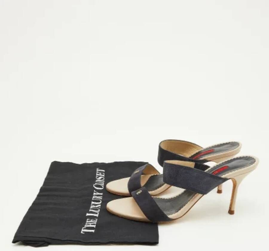 Carolina Herrera Pre-owned Suede sandals Blue Dames