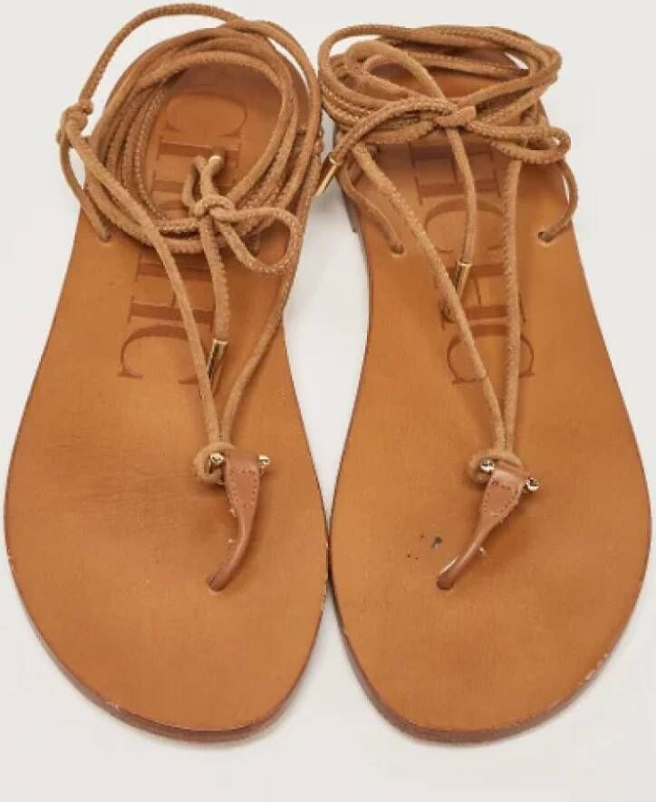 Carolina Herrera Pre-owned Suede sandals Brown Dames