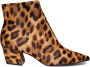 Carrano Bruine Platte Schoenen Brown Dames - Thumbnail 2
