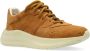 Casadei Sportschoenen Mia Brown Dames - Thumbnail 4