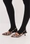 Cesare Gaspari Luipaard Stiletto Hakken Pumps Multicolor Dames - Thumbnail 8