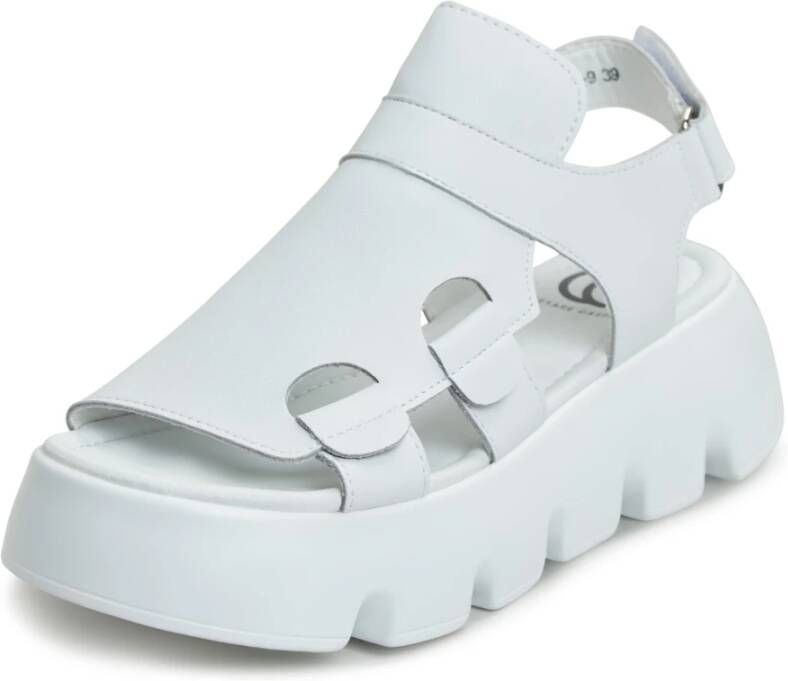 Cesare Gaspari Luxe Platform Sandalen Wit Black Dames