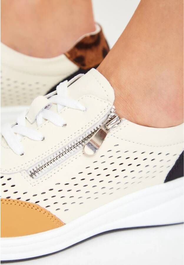 Cesare Gaspari Platform Leren Sneakers Bruin Multicolor Dames