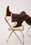Cesare Gaspari Winter Enkellaarzen Antonia Bruin - Thumbnail 2