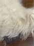 Chanel Vintage Pre-owned Faux Fur boots White Dames - Thumbnail 6