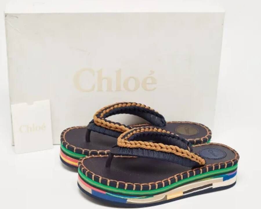 Chloé Pre-owned Fabric sandals Multicolor Dames