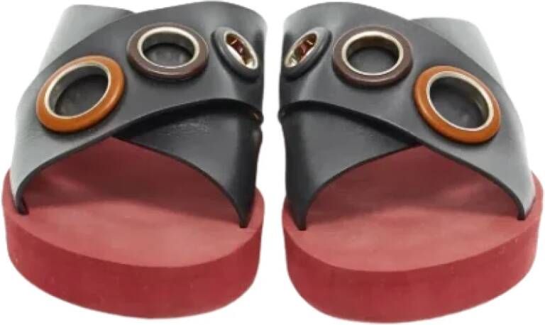 Chloé Pre-owned Plastic sandals Multicolor Dames