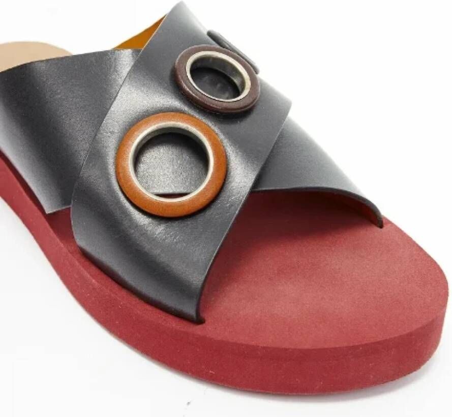 Chloé Pre-owned Plastic sandals Multicolor Dames