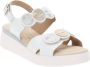 Cinzia Soft Dames Sandalen van Kunstleer met Gesp Sluiting White Dames - Thumbnail 9