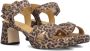 Ctwlk. Bruine Dames Sandalen Amouch Brown Dames - Thumbnail 8