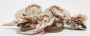 Dior Vintage Pre-owned Fabric sandals Beige Dames - Thumbnail 5