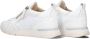 DL SPORT Lage Sneakers Dames 6523 Maat: 40 Materiaal: Leer Kleur: Wit - Thumbnail 2