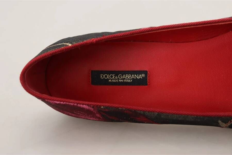 Dolce & Gabbana Ballerinas Meerkleurig Dames