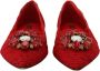 Dolce & Gabbana Rode Taormina Kristal Ballerinas Ballerina Red Dames - Thumbnail 4