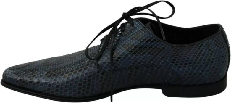 Dolce & Gabbana Blauwe Python Leren Veterschoenen