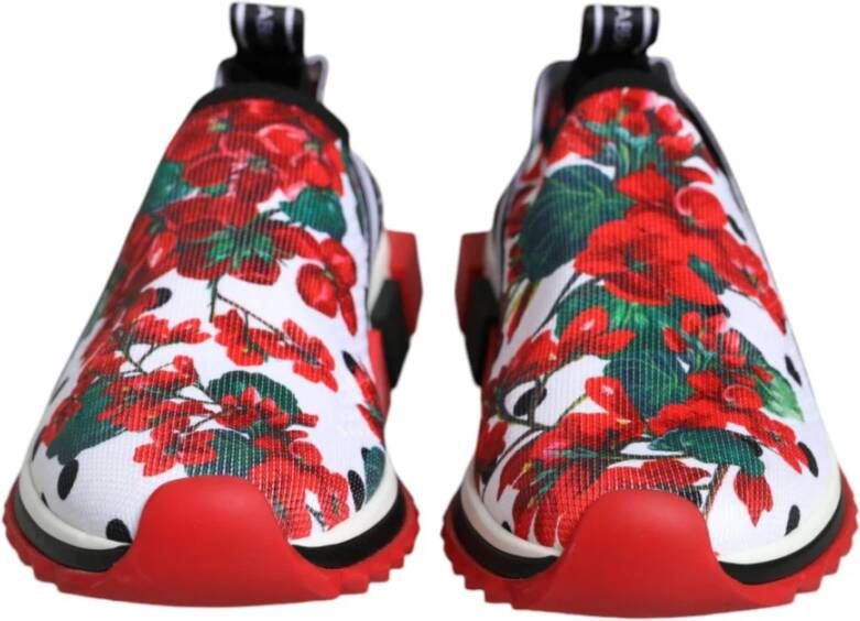 Dolce & Gabbana Bloemen Sorrento Sneakers met Logo Details Multicolor Dames
