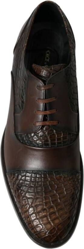 Dolce & Gabbana Bruine Krokodillenleren Oxford Schoenen Brown Heren