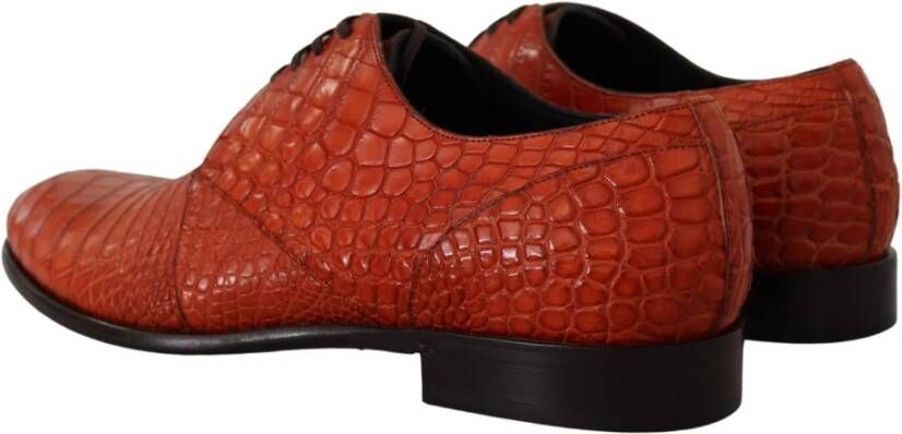 Dolce & Gabbana Business Shoes Orange Heren