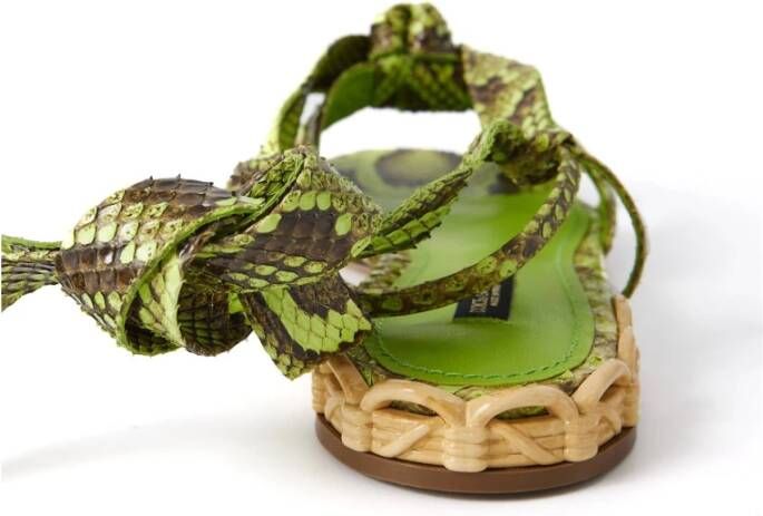 Dolce & Gabbana Dames Slange Sandalen Green Dames