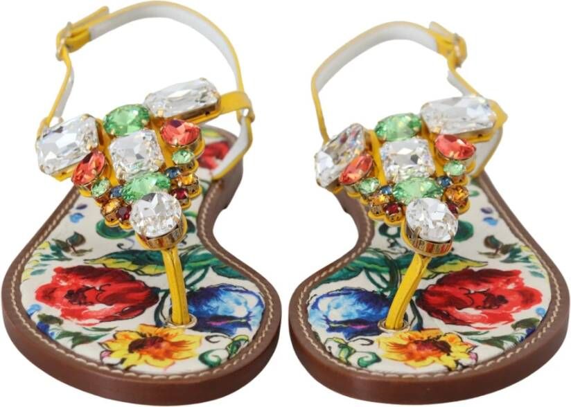 Dolce & Gabbana Flat Sandals Meerkleurig Dames