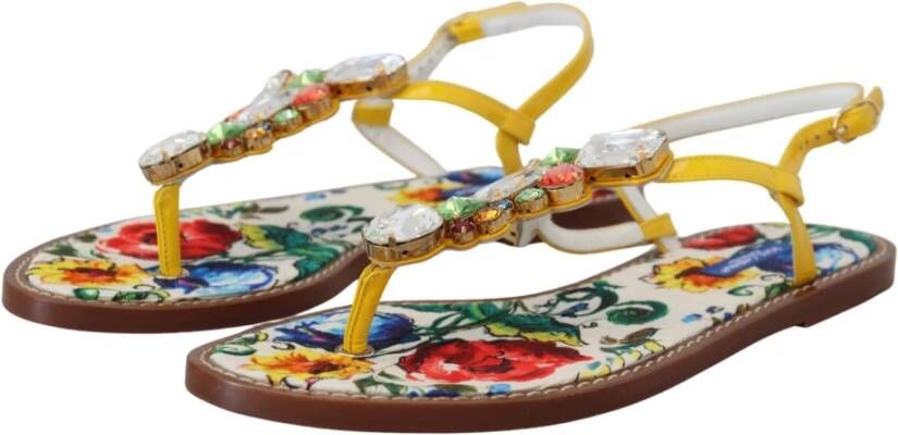 Dolce & Gabbana Flat Sandals Meerkleurig Dames