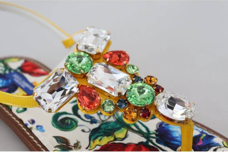 Dolce & Gabbana Flat Sandals Multicolor Dames